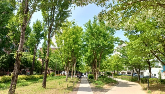 숲길 이미지
