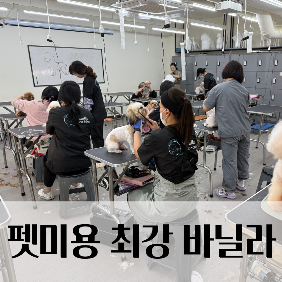 영광기술학원 이미지