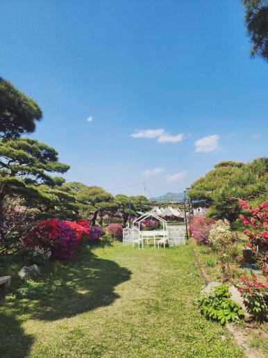 연세보스톤치과의원 이미지