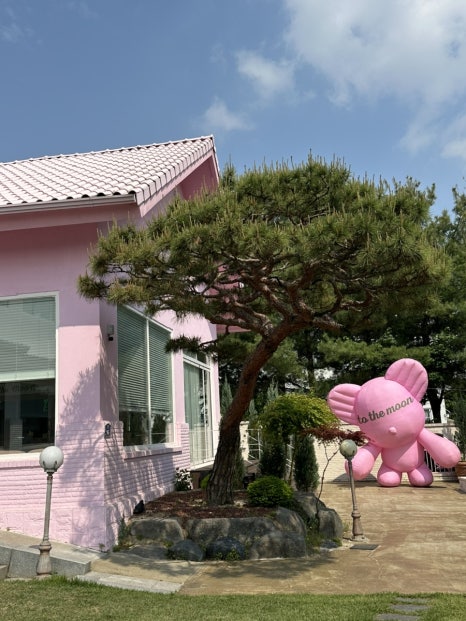 문 이미지