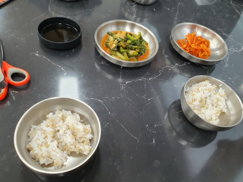 옹칼지네 이미지