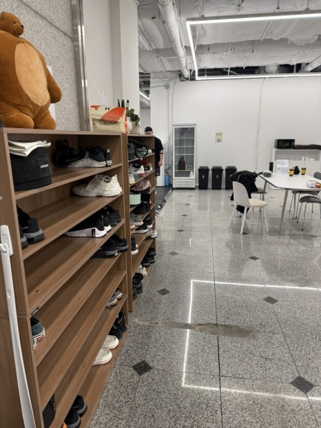 치어풀트레이닝 이미지