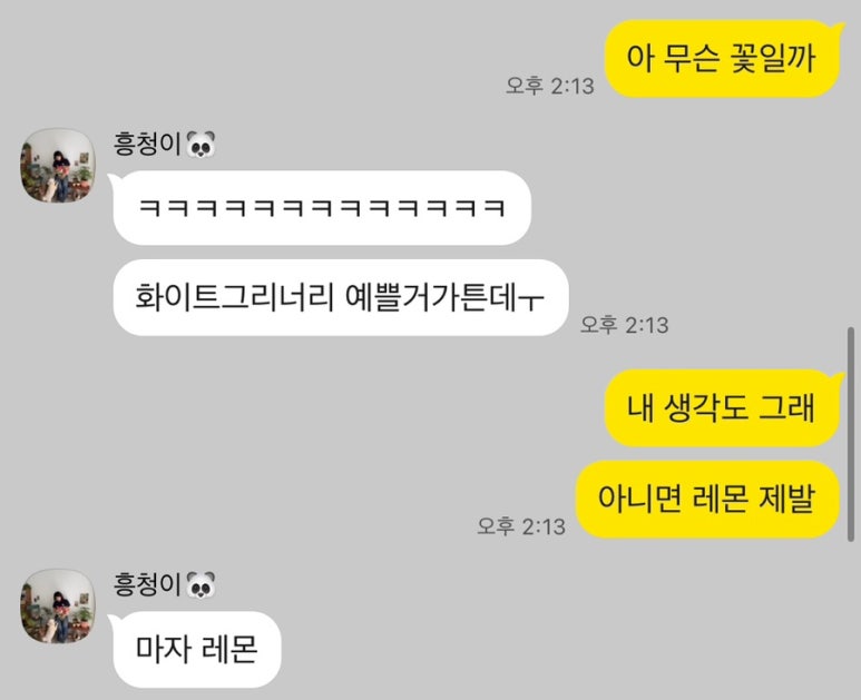 글로리플라워스튜디오 이미지
