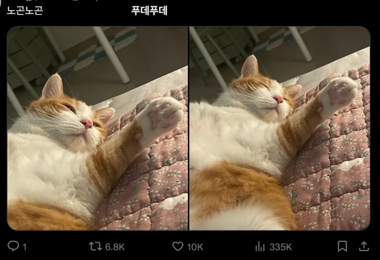 시샘달아뜰리에 이미지