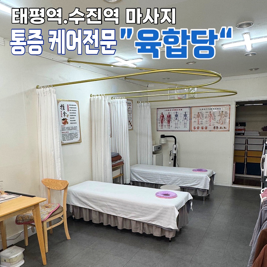 육합당 이미지