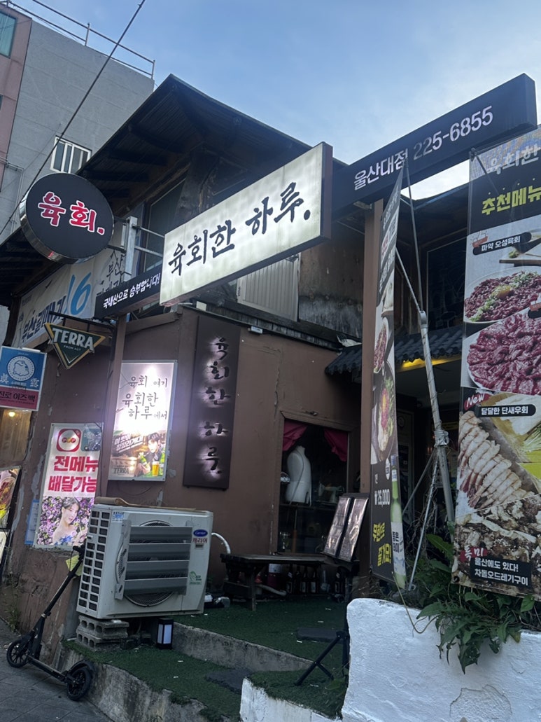 육회한하루 이미지