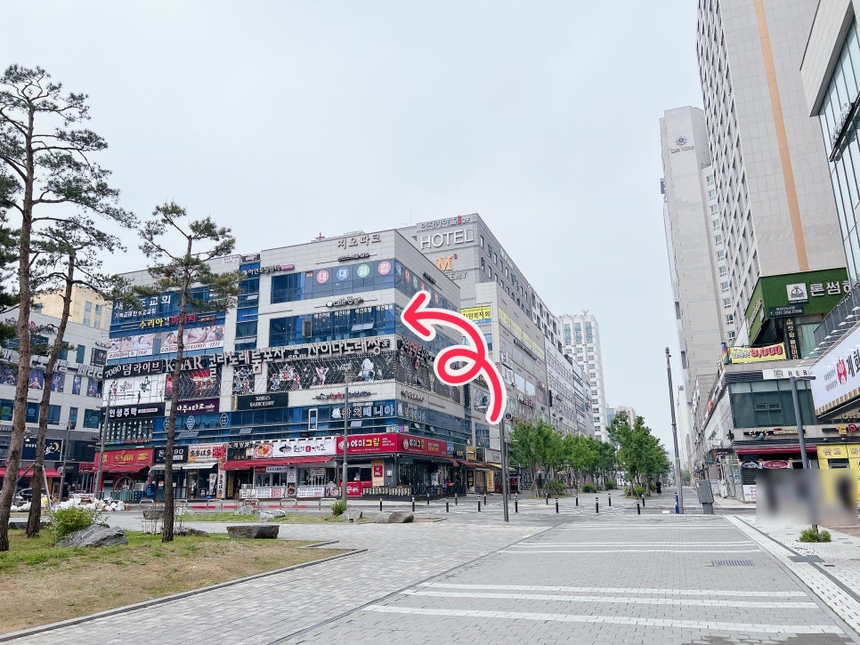 김포 애견카페 카페몽몽, 실내외 모두 만족스러운 경험 — 사진 2