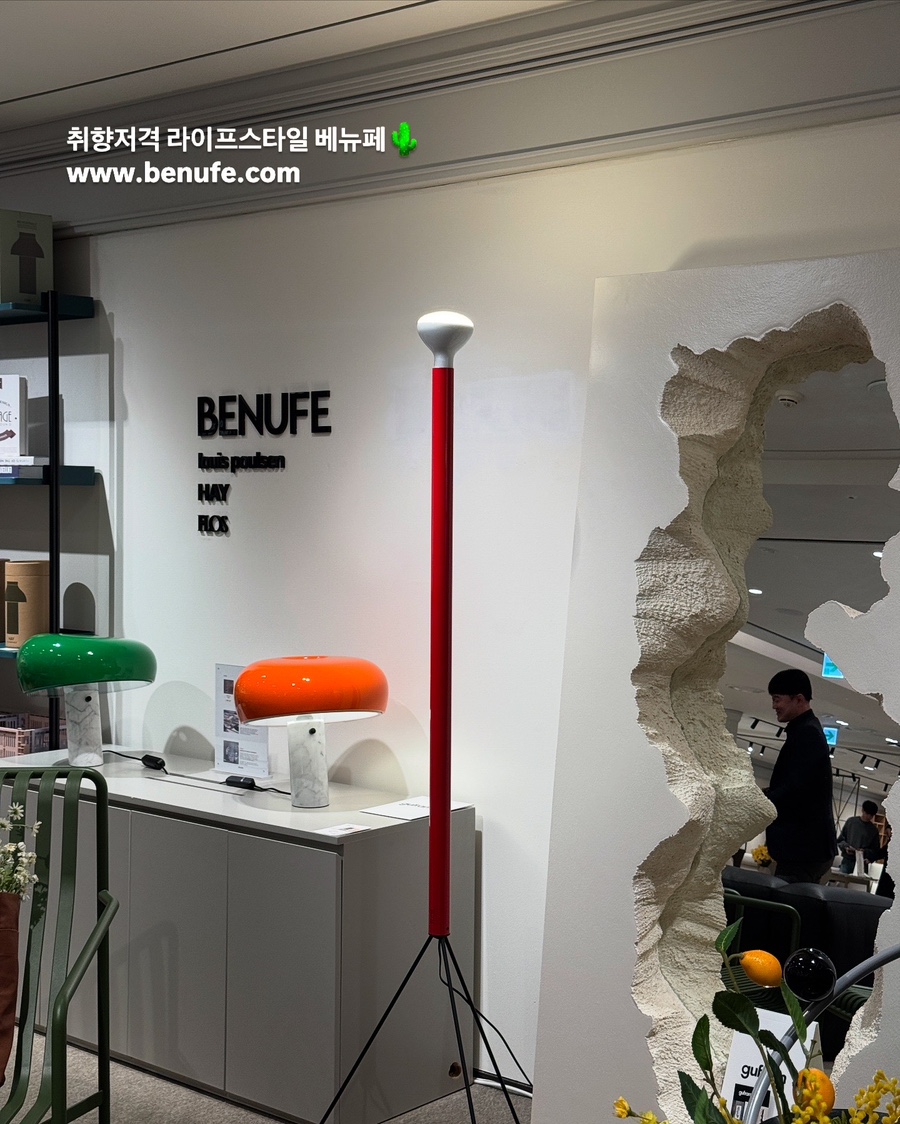 벨홉 이미지