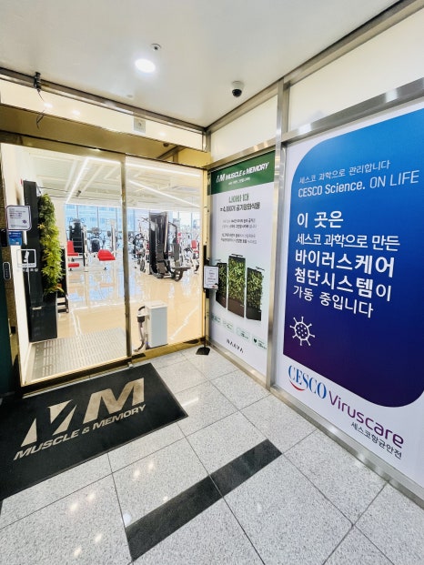 머슬뱅크짐 이미지