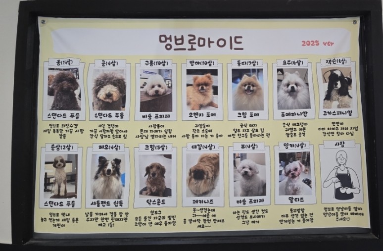 멍브로 이미지