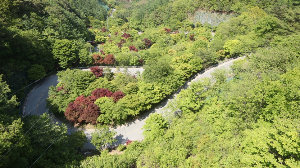 보발재드라이브 이미지