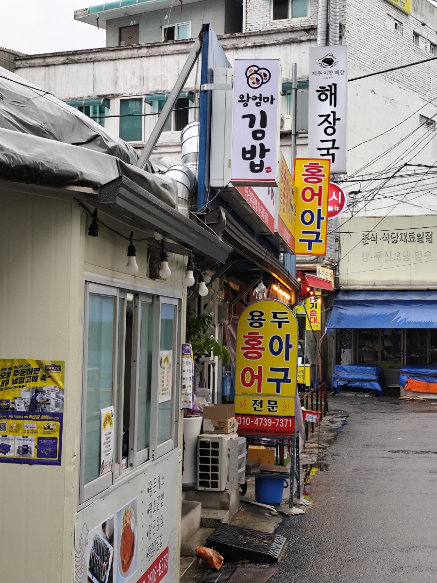 용두홍어 이미지