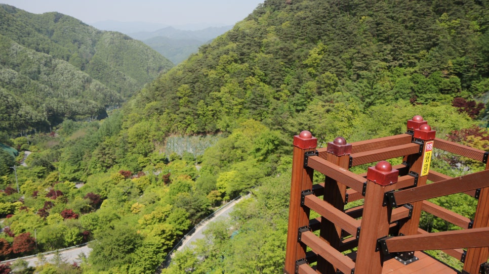 보발재드라이브 이미지