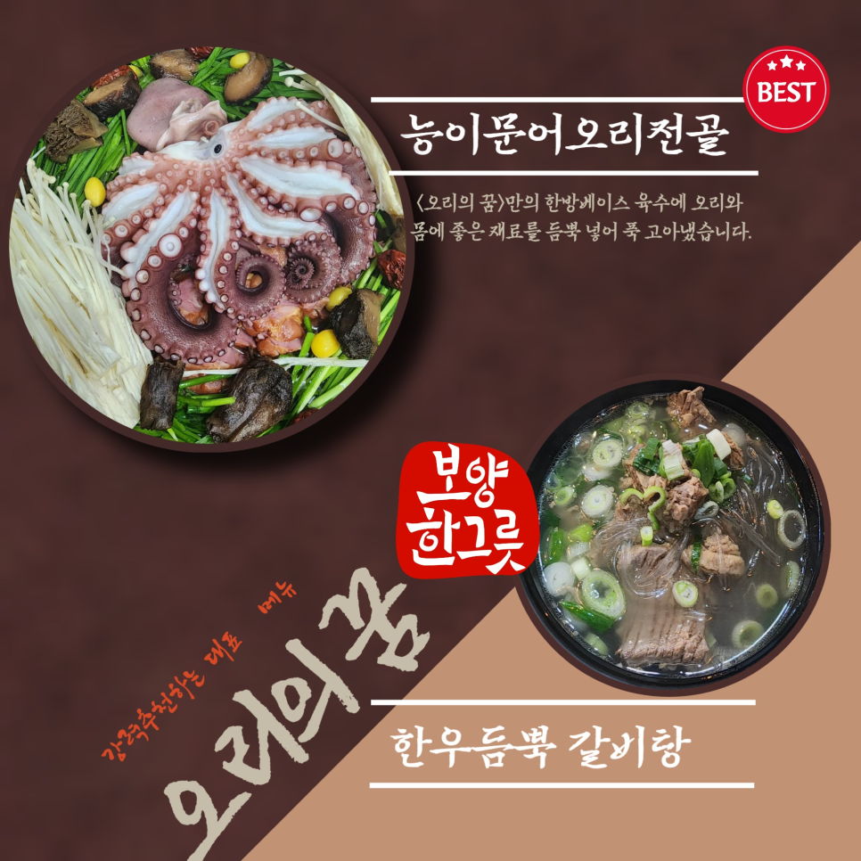 오리의 꿈 이미지