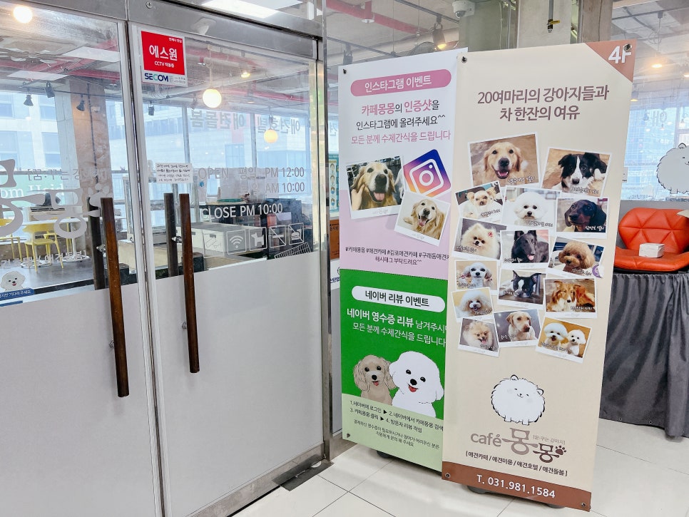 김포 애견카페 카페몽몽, 실내외 모두 만족스러운 경험 — 사진 3
