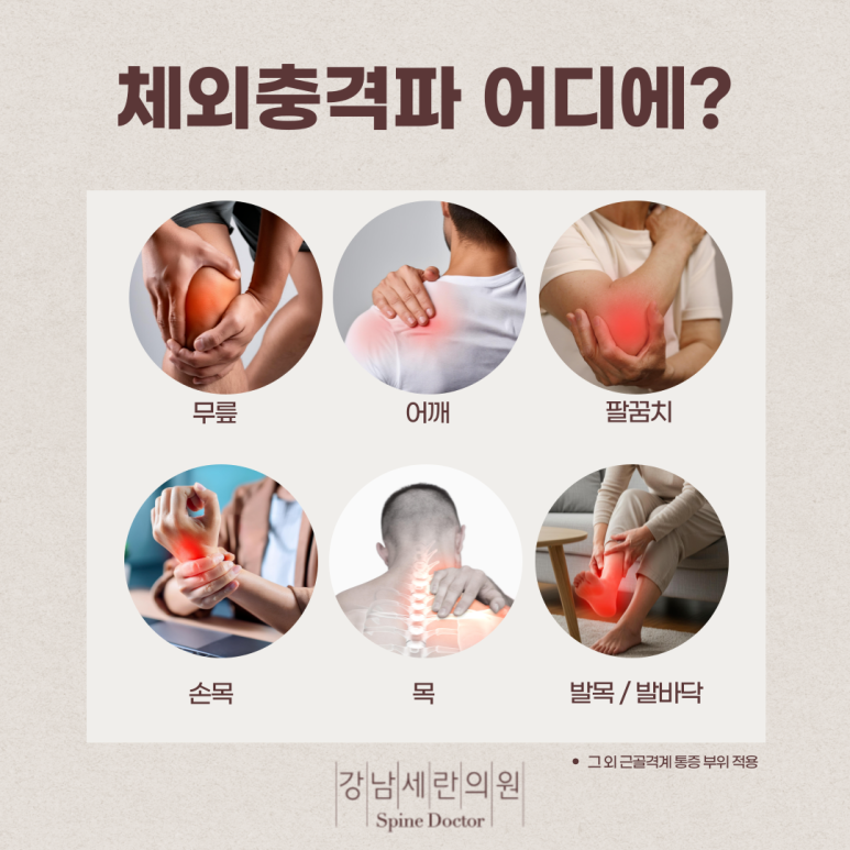 세란마취통증의학과의원 이미지