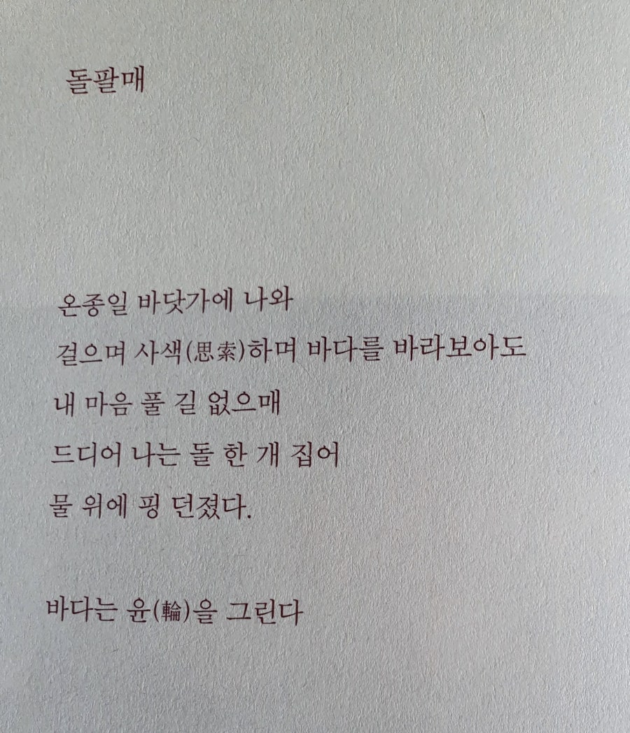 핑시화 이미지