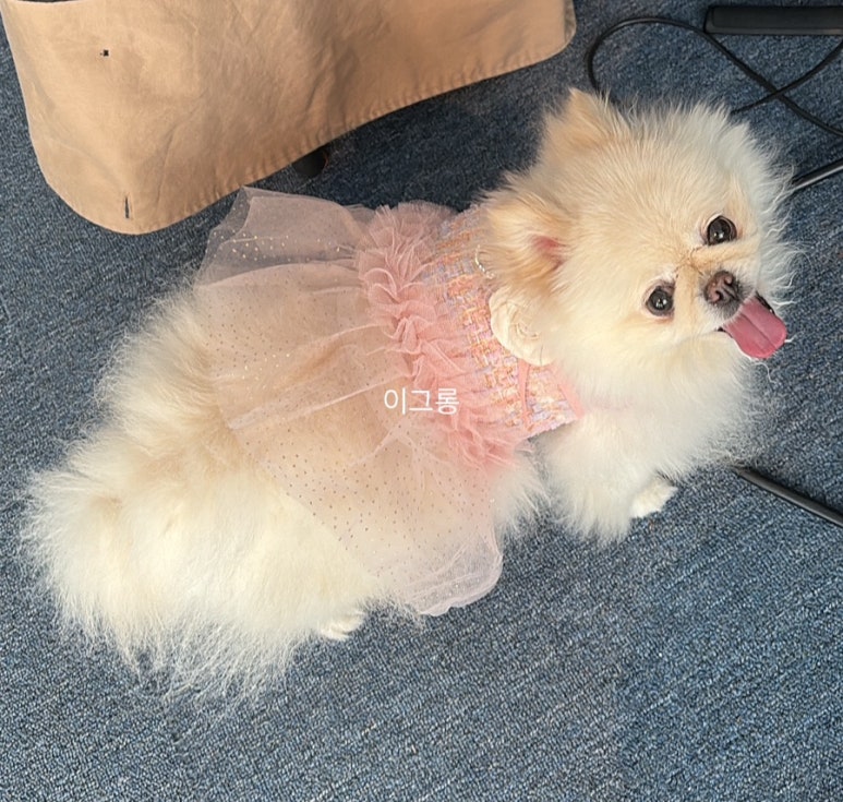 스튜디오엽 이미지