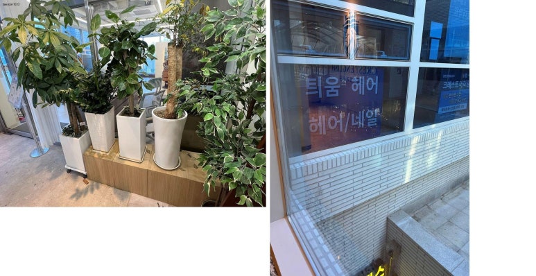 틔움헤어 이미지
