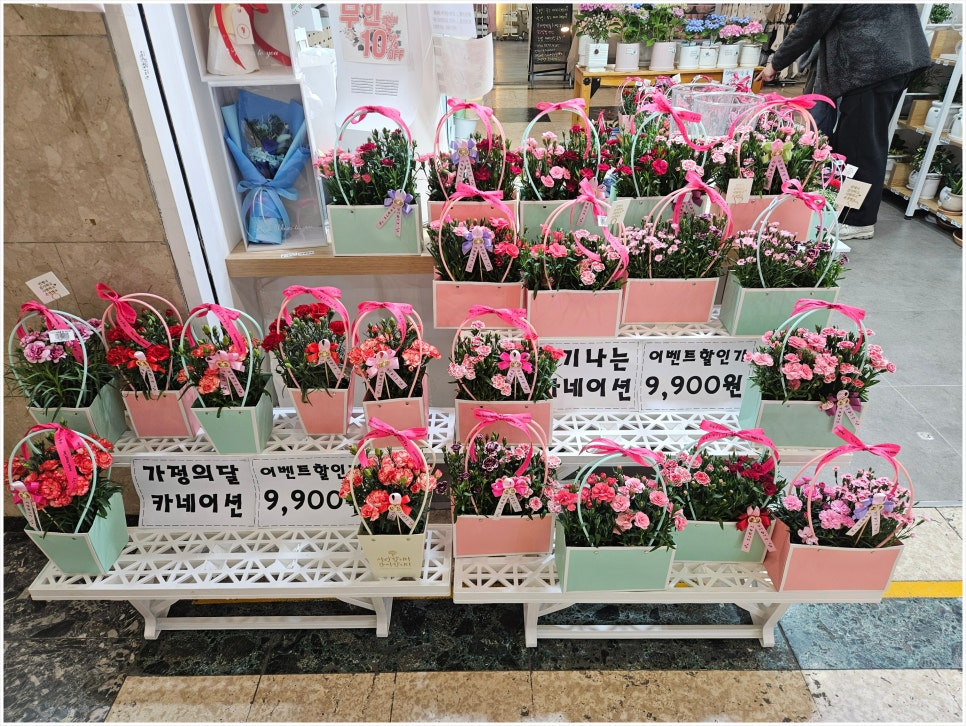 도우미꽃식물원 이미지