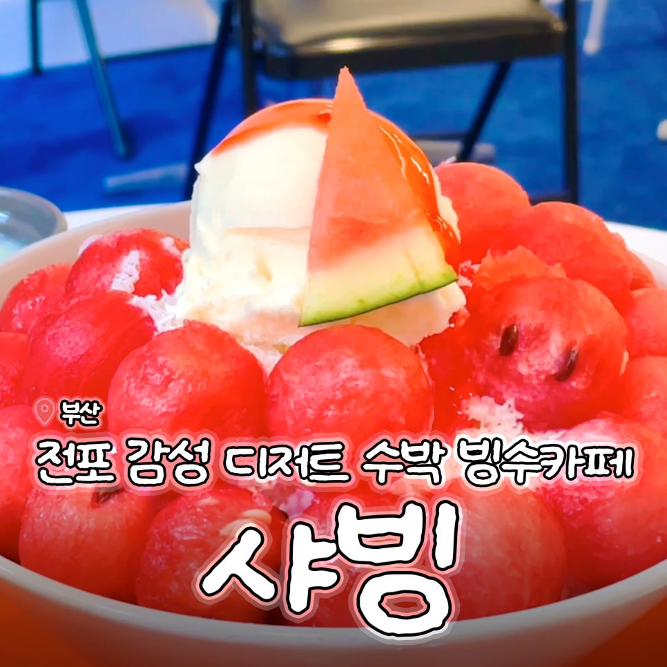 샤빙 이미지