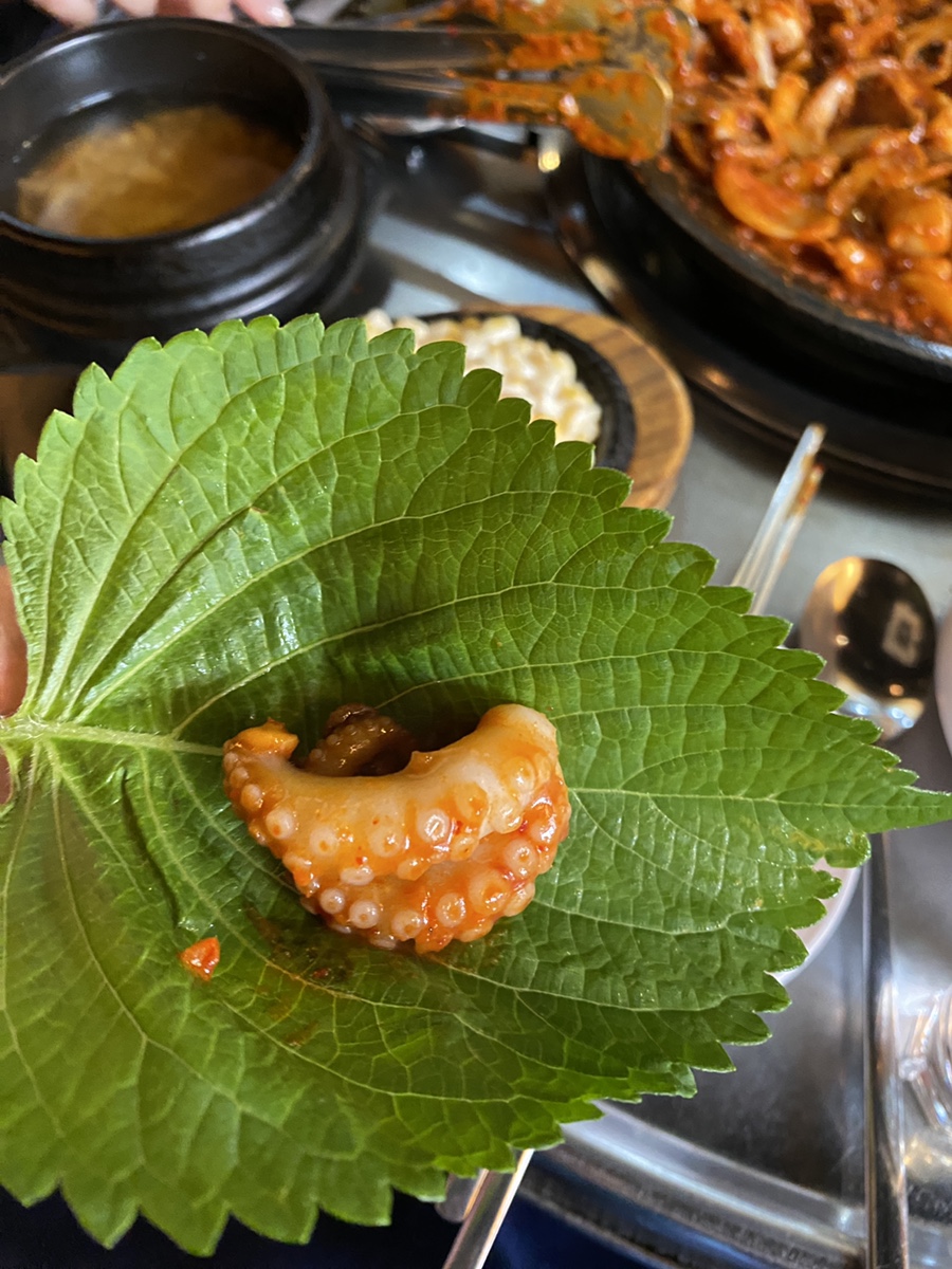 진쭈꾸미 사진 3