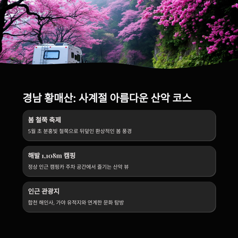 카베스트 이미지