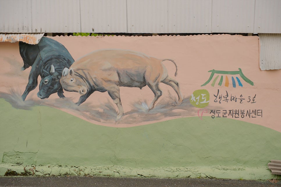 풍각한우한돈식육식당 이미지