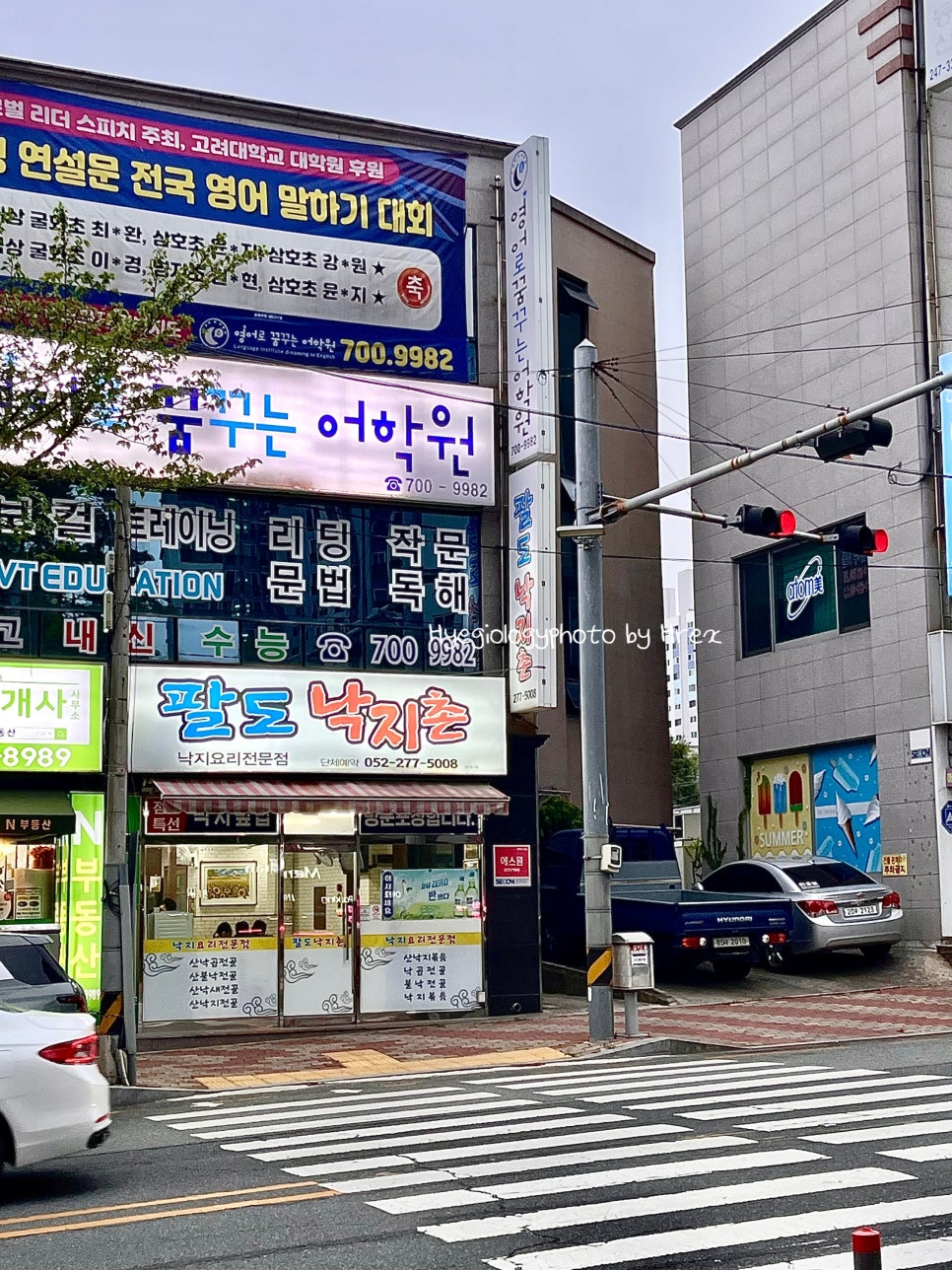 팔도낙지촌 이미지