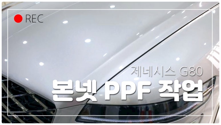 블링카 이미지
