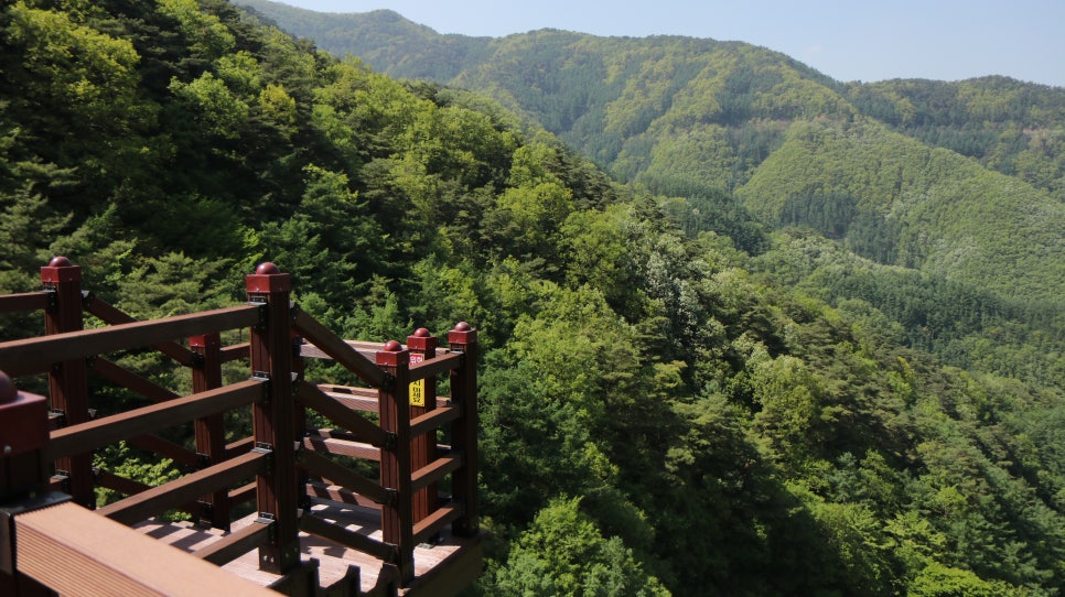 보발재드라이브 이미지