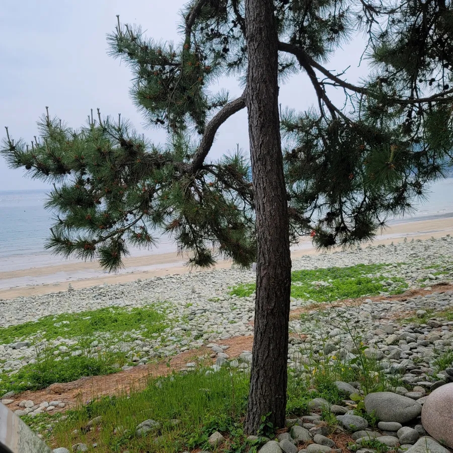 솔밭수상레저 이미지