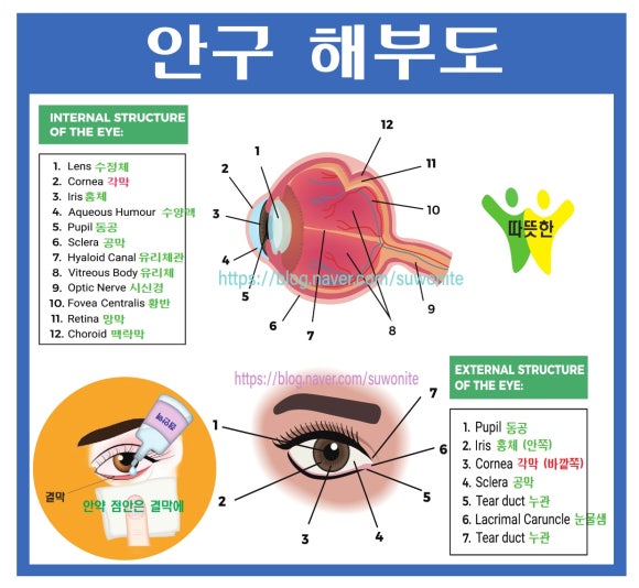 단원요양보호사교육원 이미지