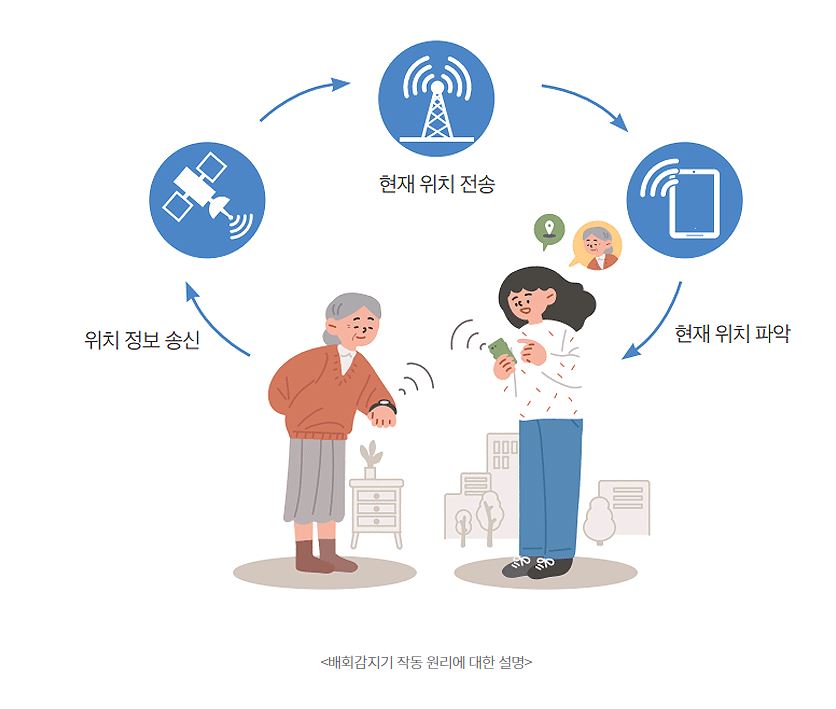 은평나비 이미지