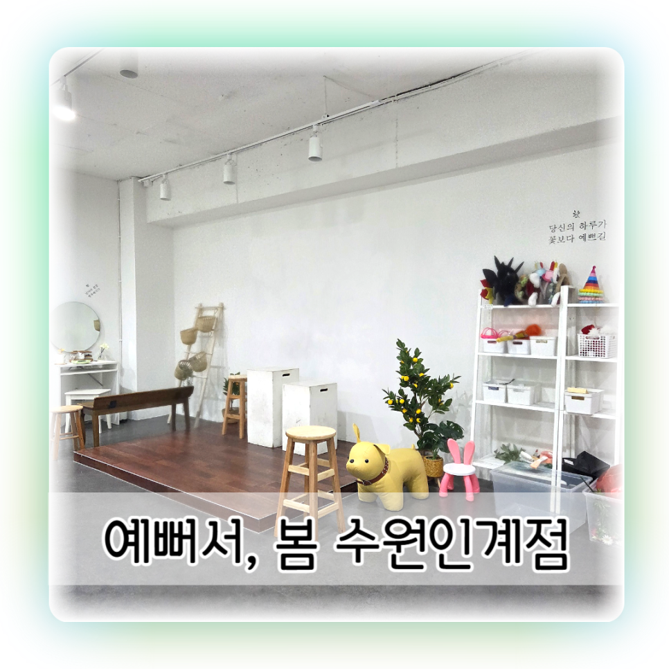 셀프사진관 예뻐서, 봄 수원 인계점 이미지