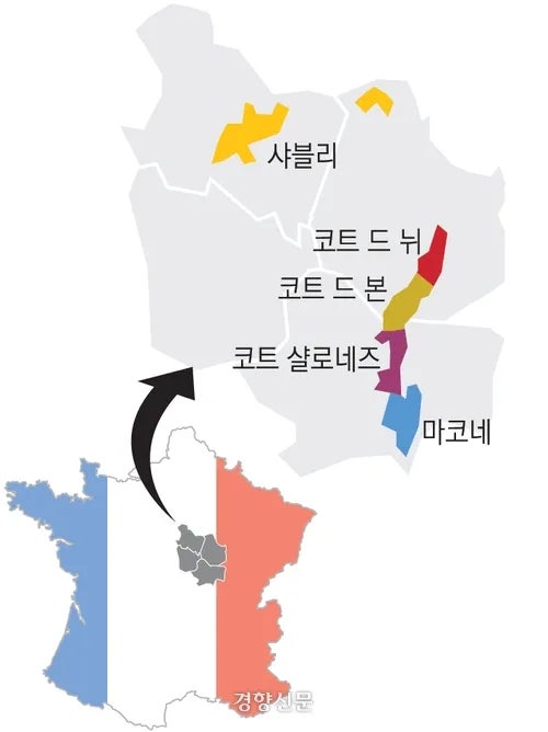 송도국제와인스쿨 이미지