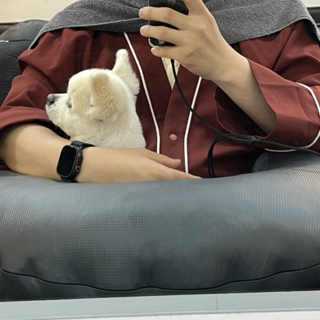 어반노이즈 이미지