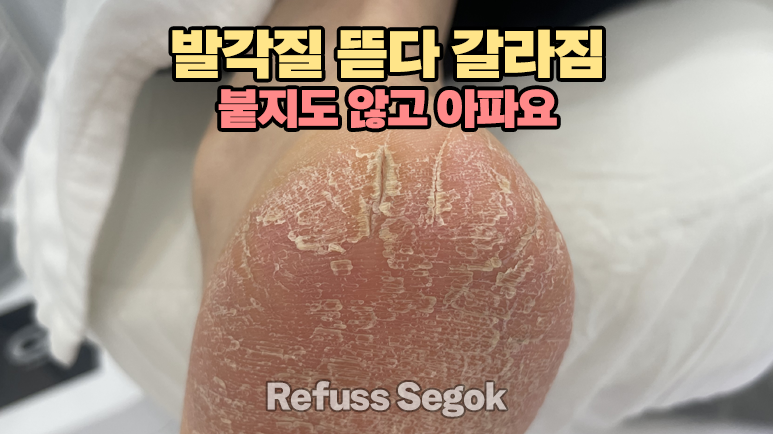 레푸스강남세곡점 이미지