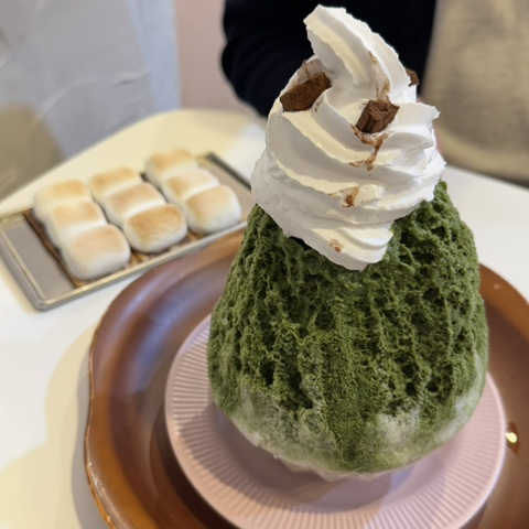 도쿄빙수이수점 이미지
