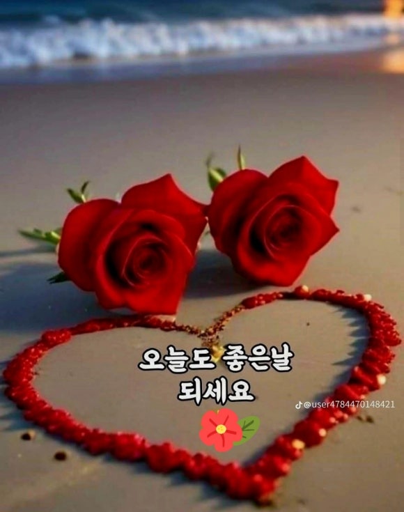 진국 이미지