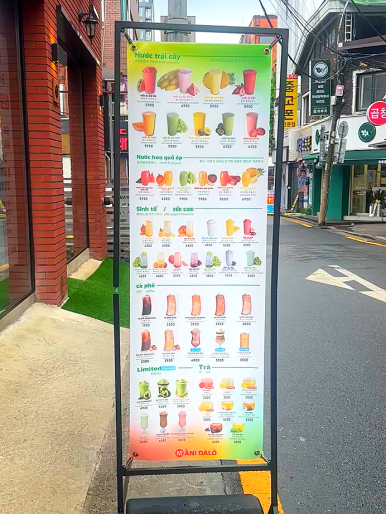 마니달오 이미지