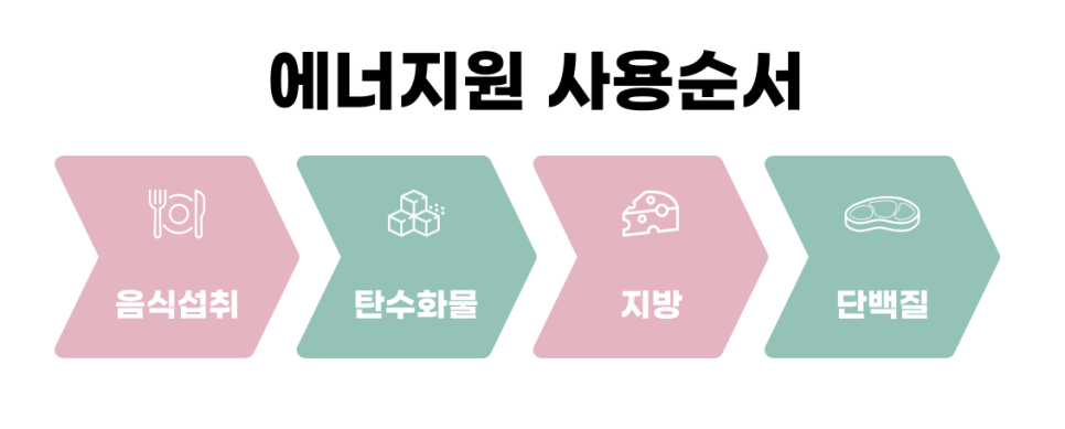 티와이짐 이미지