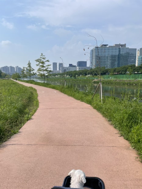 포장마차탄 이미지