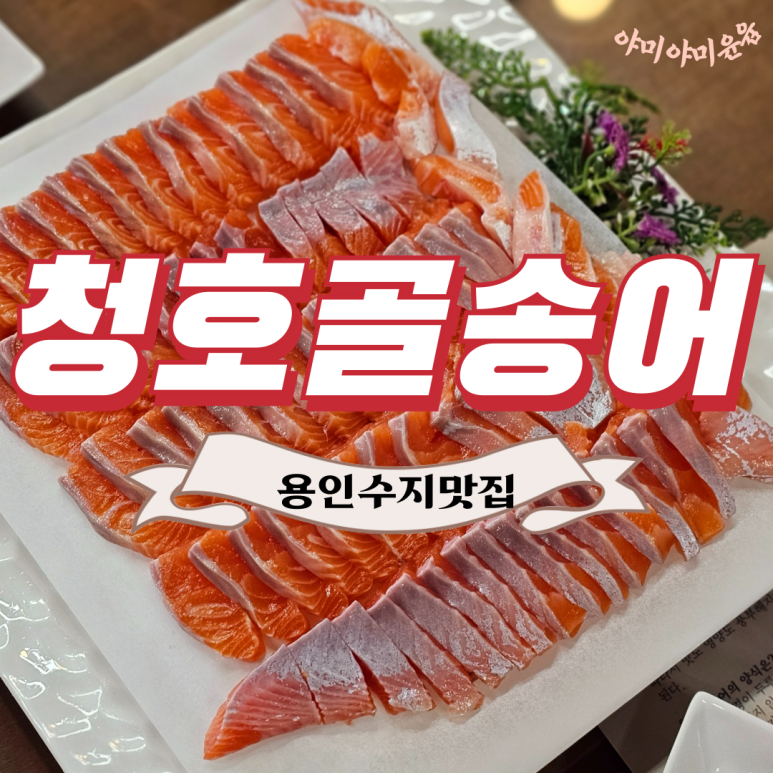 청호골송어 이미지