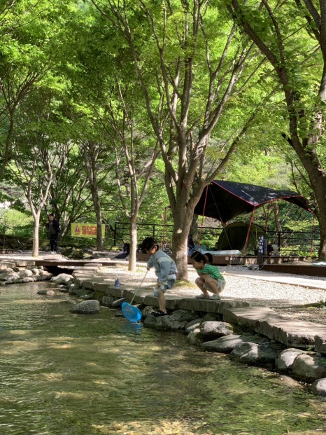 천동오토캠핑장 이미지