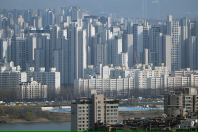 한빛행정사사무소 이미지