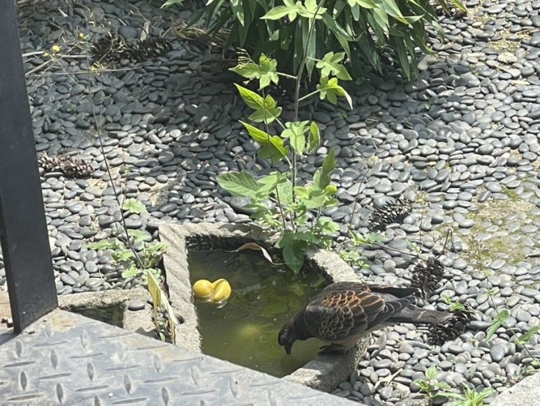 모두아커피 이미지