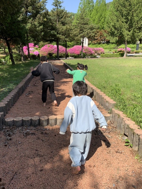 천동오토캠핑장 이미지