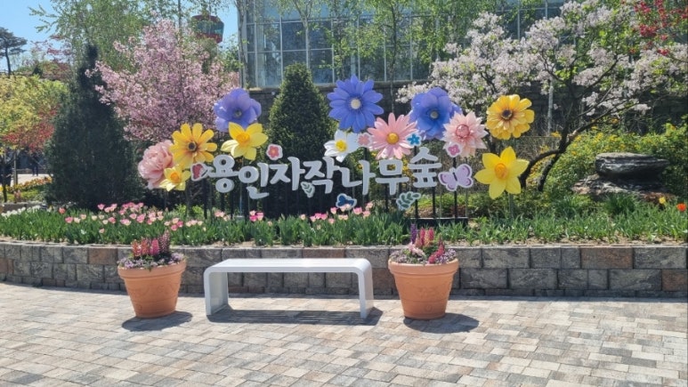 용인사계절화원 이미지