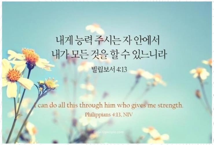세무법인믿음 이미지